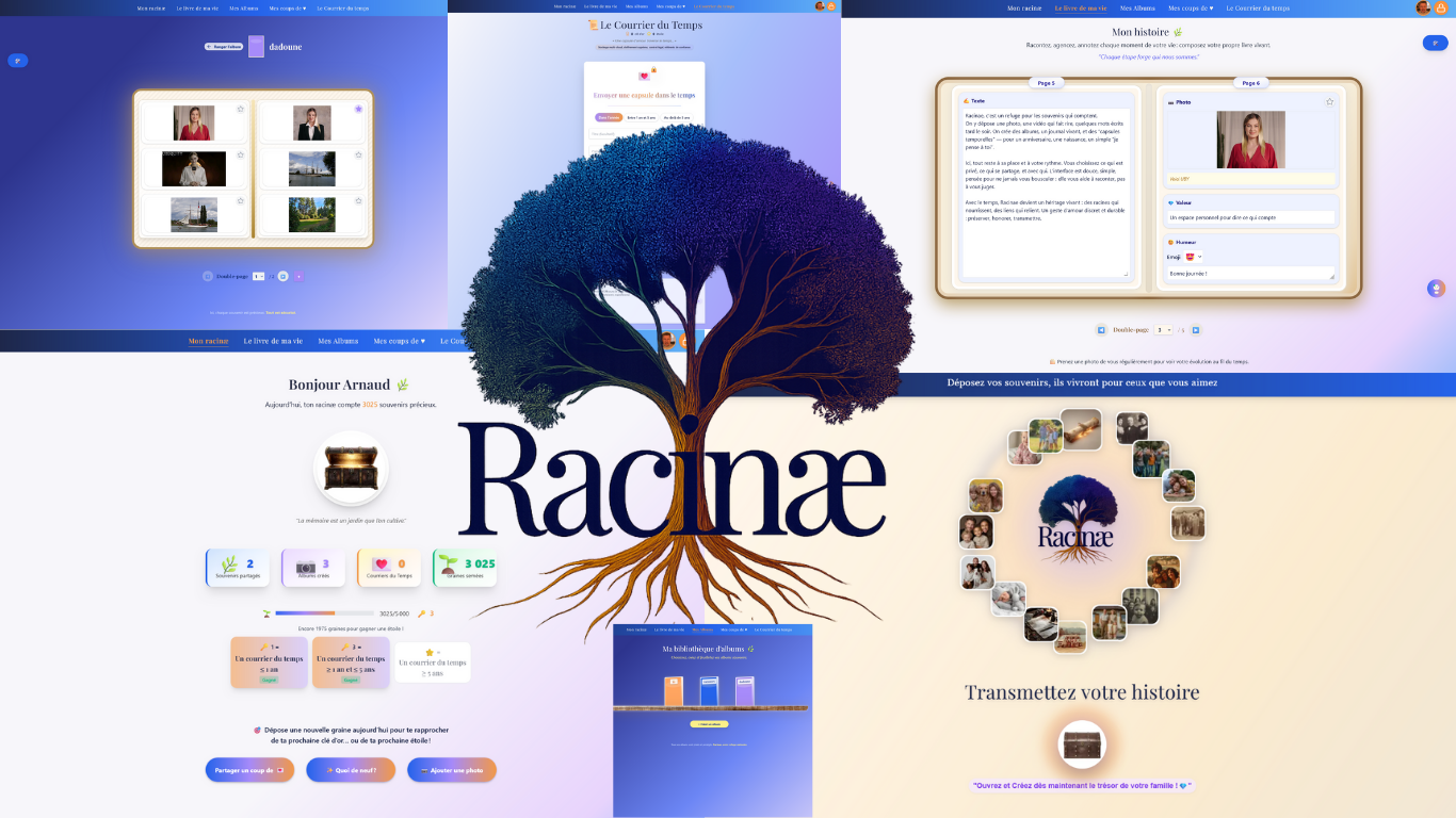 Illustration Racinae